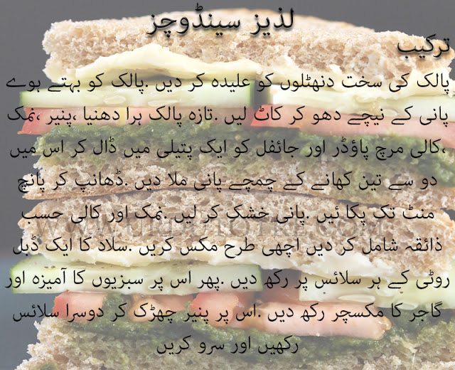 laziz-sandwich-2