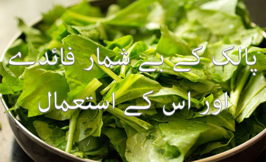 Spinach uses and health benefits in urdu and hindi