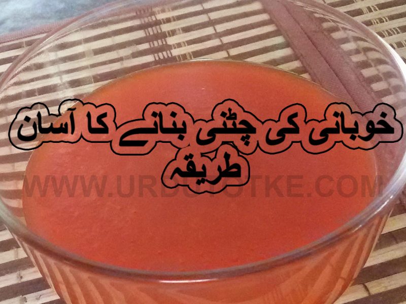 khubani ki chatni ramadan recipes for iftar