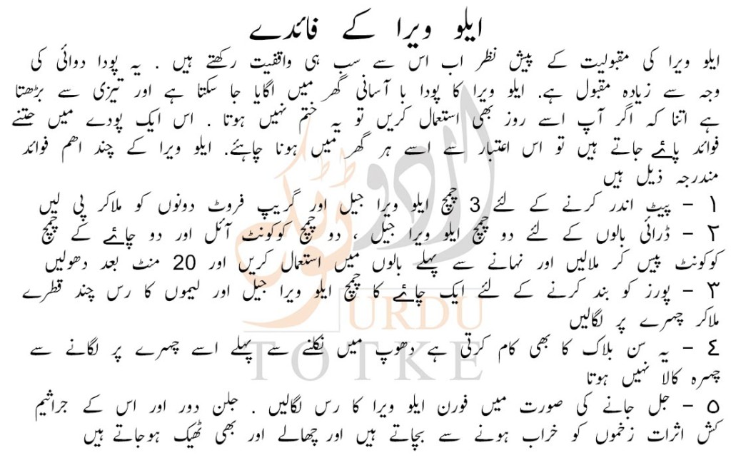 uses of aloe vera in urdu