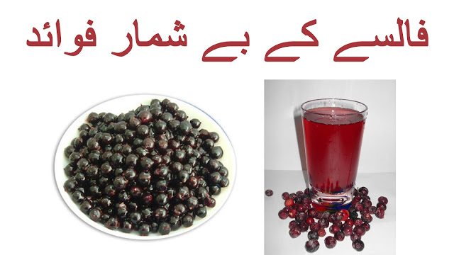 Falsa k Fayde Health Benefits of Grewia asiatica in Urdu