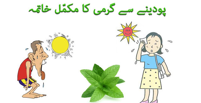 How to Reduce Body Heat in urdu and hindi by mint