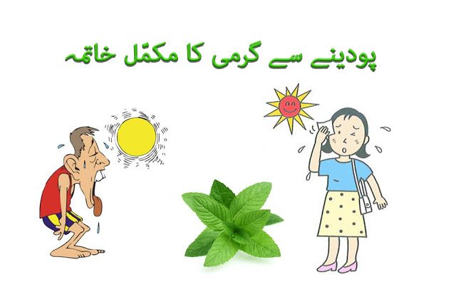 How to Reduce Body Heat in urdu and hindi by mint