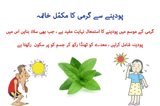 Home Remedies to Reduce Body Heat by Using Mint : Garmi ka tor podine se 