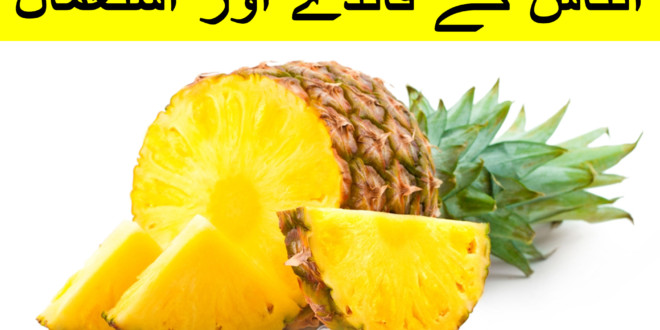 Uses and Benefits of Pineapple in urdu and hindi