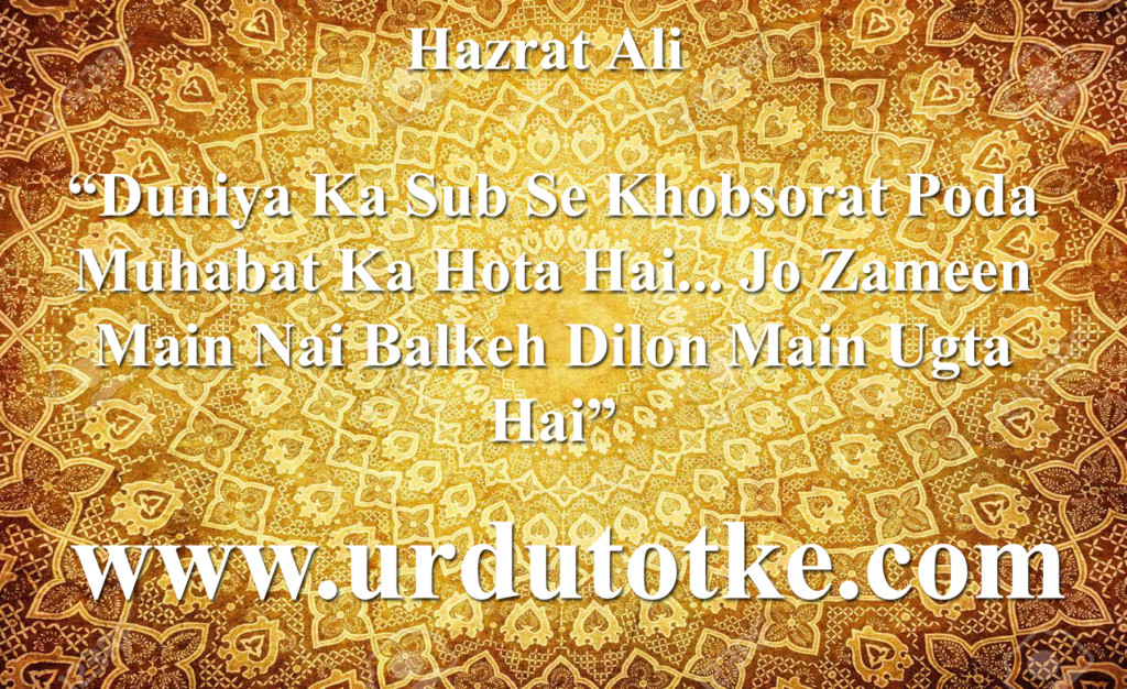 hazrat ali quotes in roman urdu