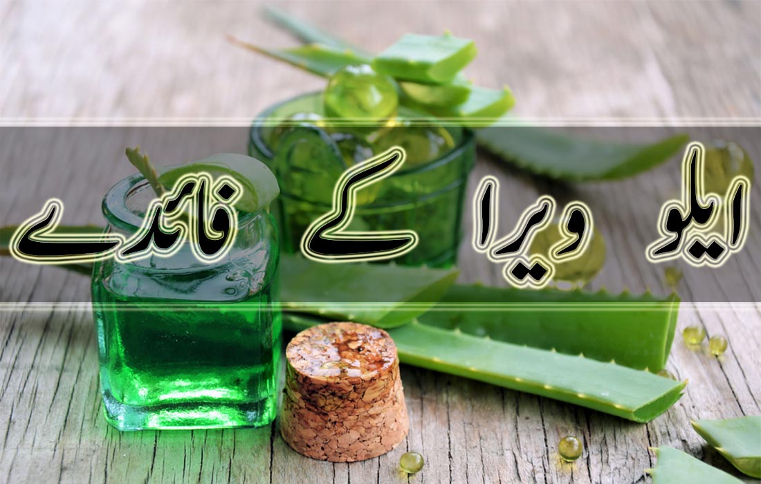 benefits of aloe vera in urdu