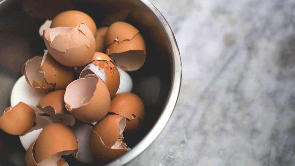Egg Shell Benefits in Urdu