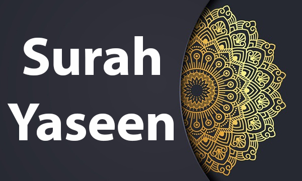 Surah Yaseen – Fazail – PDF – Audio – Read Online with Urdu Translation 1