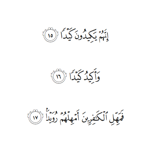 Surah Tariq Last Three Ayat