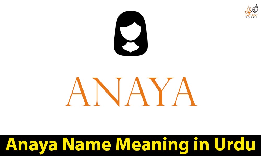 Anaya Name Meaning in Urdu