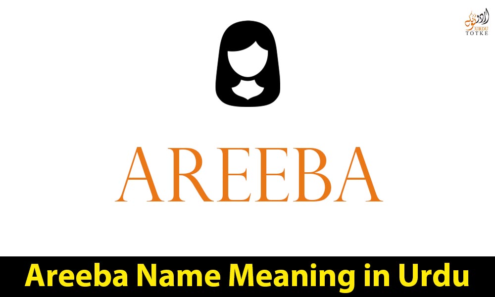 Areeba Name Meaning in Urdu