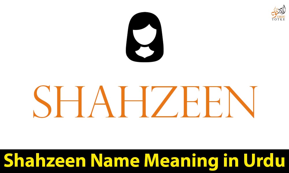 Shahzeen Name Meaning in Urdu