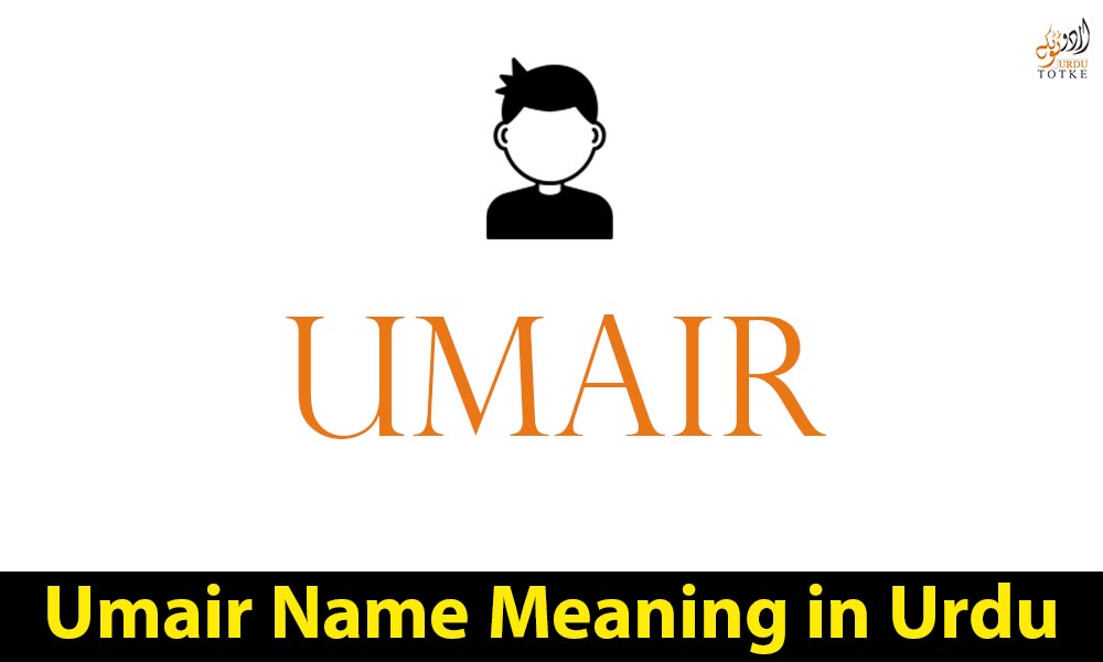 Umair Name Meaning in Urdu